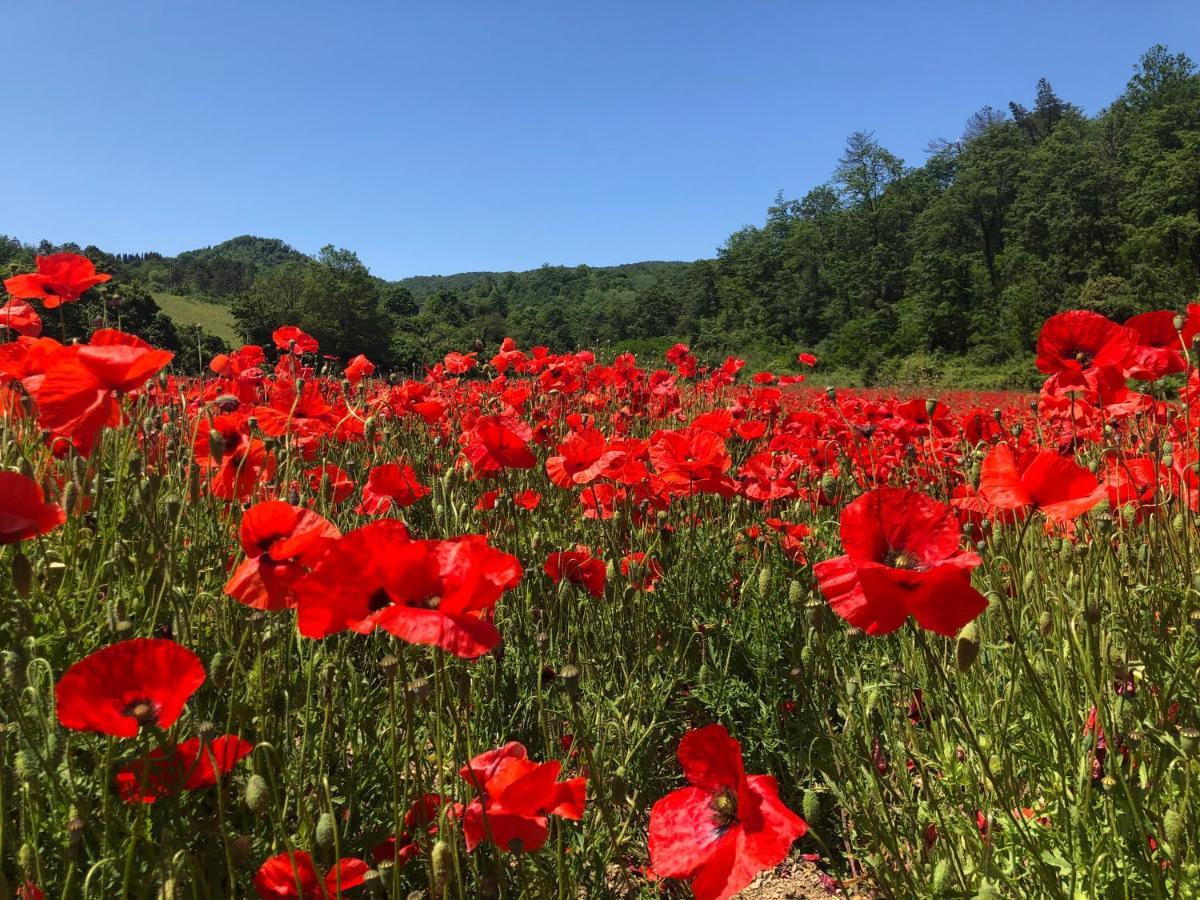 Podere Badia Valdrago Agriturismo Mugello Circuit Скарперия Екстериор снимка