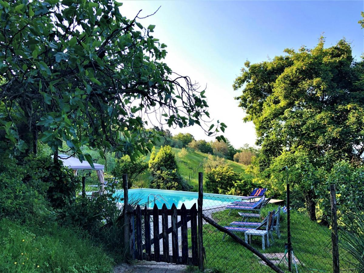 Podere Badia Valdrago Agriturismo Mugello Circuit Скарперия Екстериор снимка