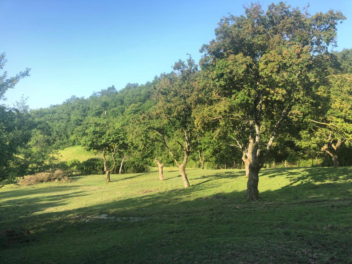 Podere Badia Valdrago Agriturismo Mugello Circuit Скарперия Екстериор снимка